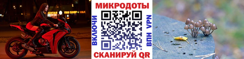 Галлюциногенные грибы Psilocybe  наркошоп  Кулебаки 